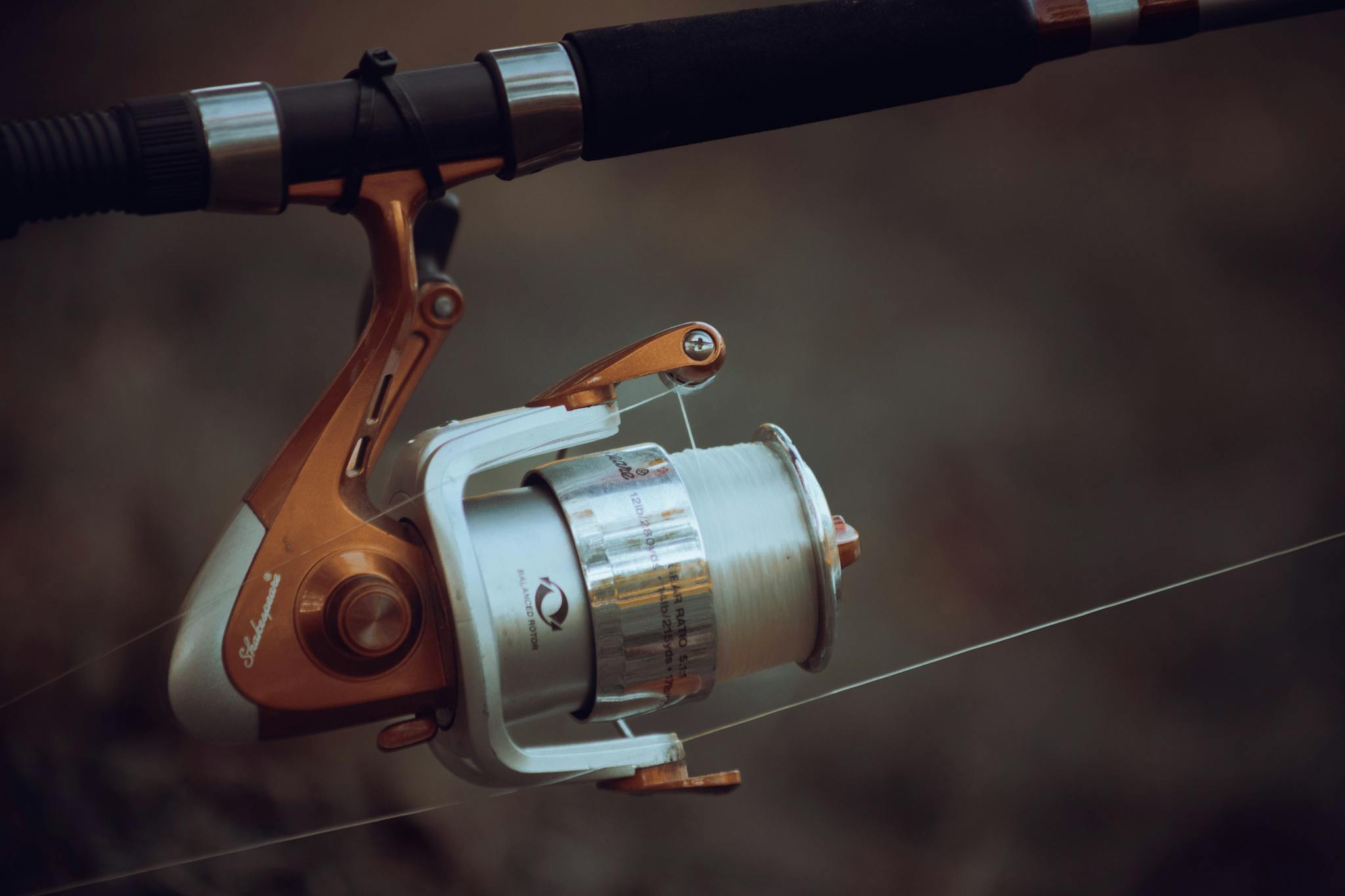 Reel of Fishing Rod