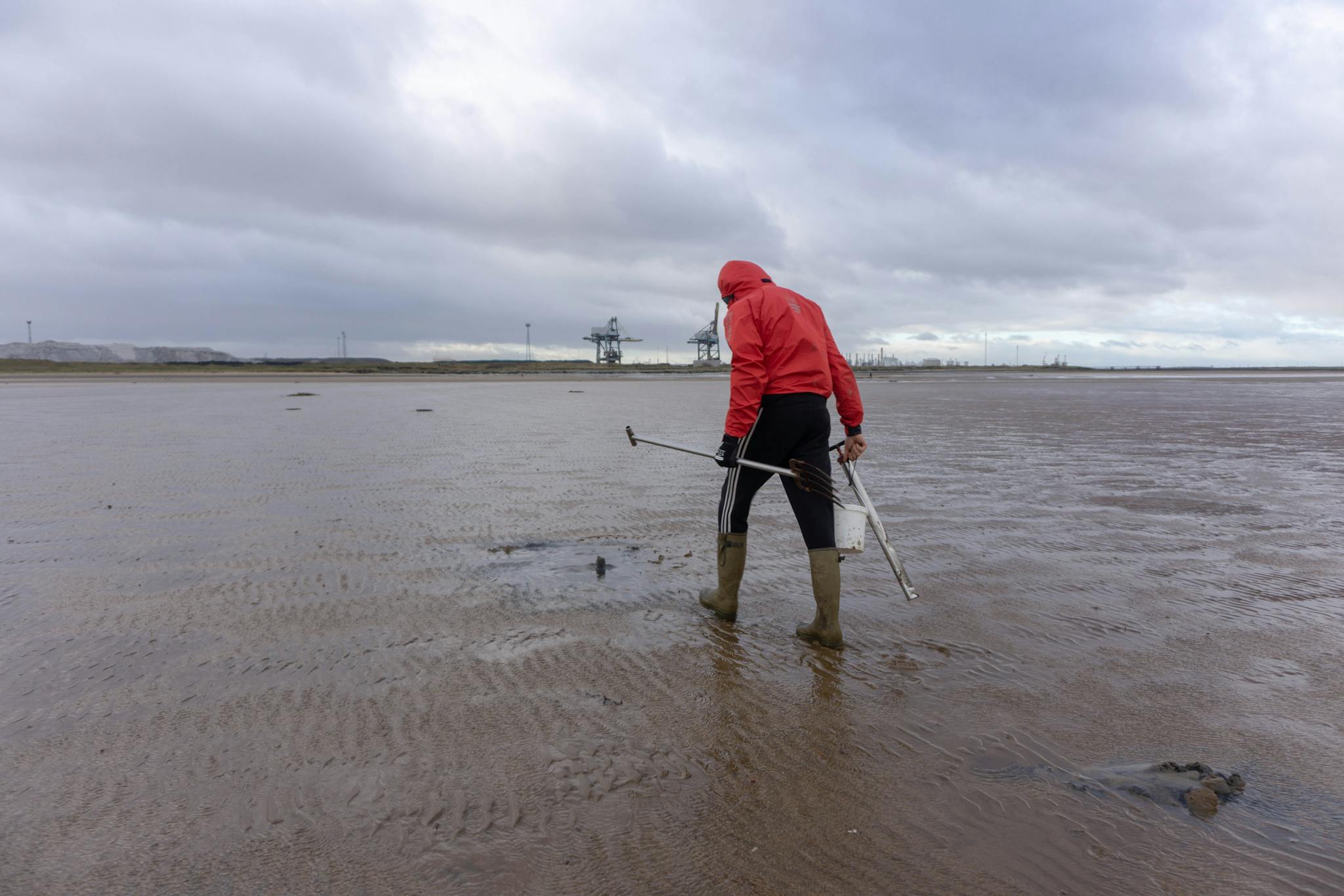 Sea fishing bait collector